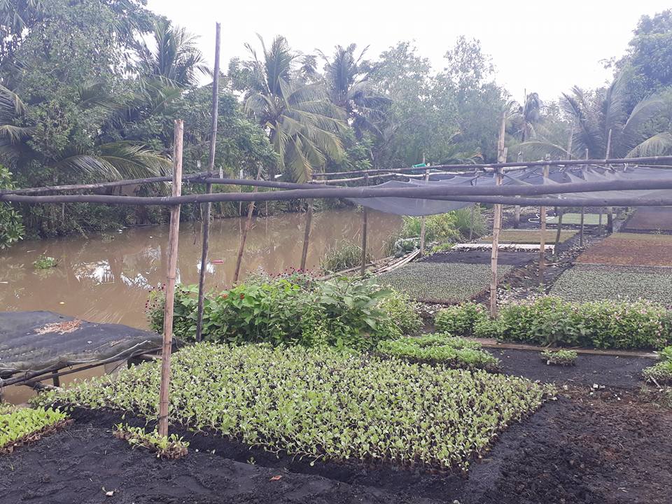 Mekong Delta Bike Ride 6 Days